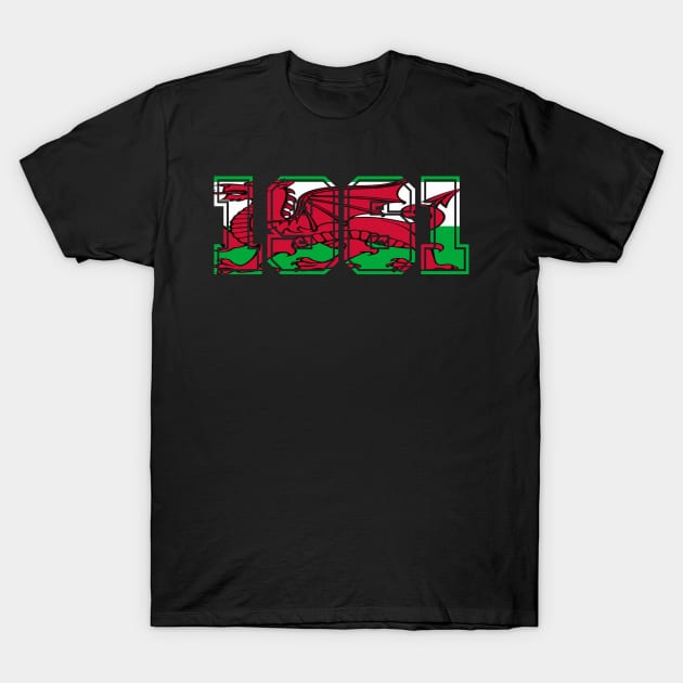 WELSH FLAG 1961 T-Shirt by MarniD9